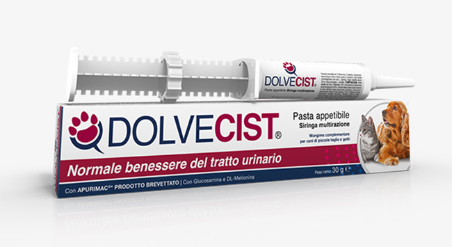 DOLVECIST PASTA SIRINGA 30 G - Farmaciapacini.it