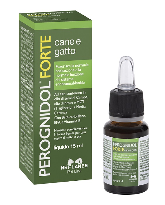 PEROGNIDOL FORTE 15 ML - Farmaciapacini.it