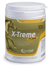 X-TREME FLAME POLVERE BARATTOLO 450 G - Farmaciapacini.it