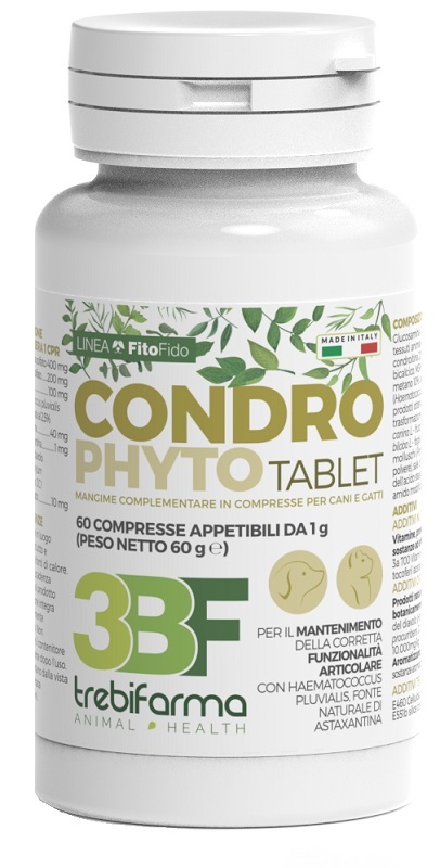 CONDROPHYTO 60 COMPRESSE DA 1 G - Farmaciapacini.it