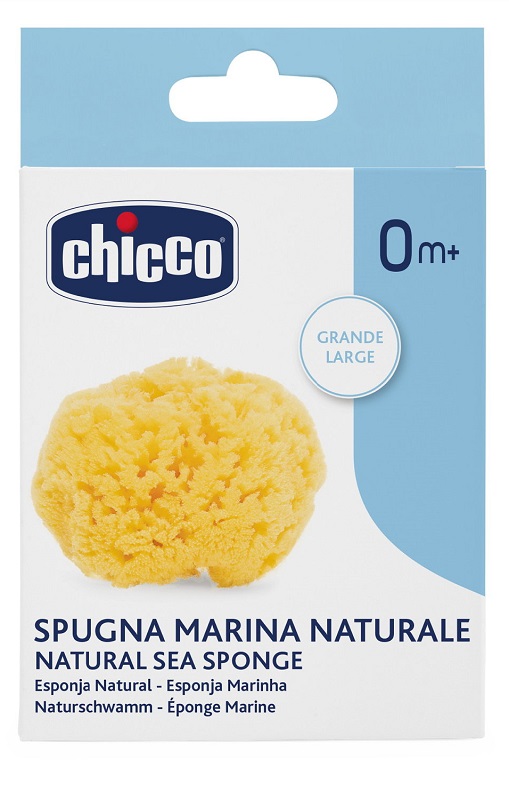 CHICCO SPUGNA MEDIA IGIENE SICURA - Farmaciapacini.it