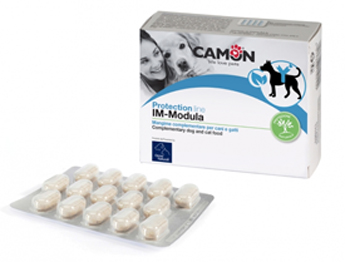 IMMODULA 60 COMPRESSE - Farmaciapacini.it
