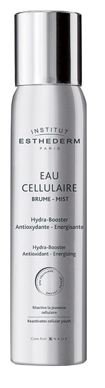 INSTI EAU CELLULAIRE BRUME 100 ML - Farmaciapacini.it