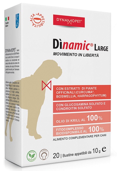 DINAMIC LARGE 20 BUSTINE 10 G - Farmaciapacini.it
