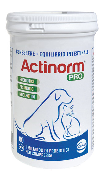 ACTINORM PRO FLACONE 60 COMPRESSE - Farmaciapacini.it