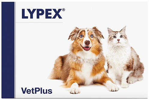 LYPEX 60 CAPSULE - Farmaciapacini.it