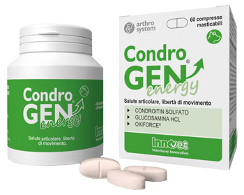 CONDROGEN ENERGY 60 COMPRESSE MASTICABILI - Farmaciapacini.it