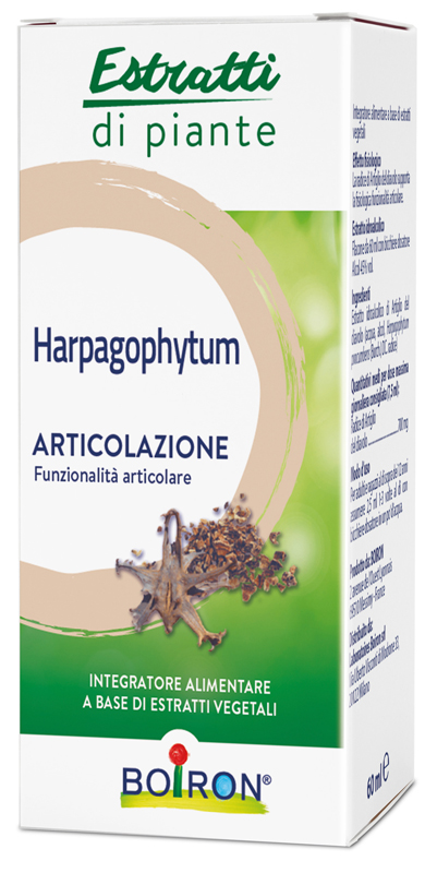 HARPAGOPHYTUM ESTRATTO IDROALCOLICO 60 ML INT - Farmaciapacini.it