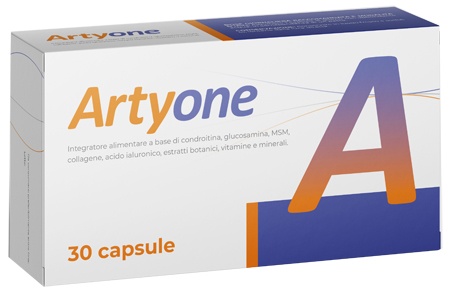 ARTYONE 30 CAPSULE - Farmaciapacini.it