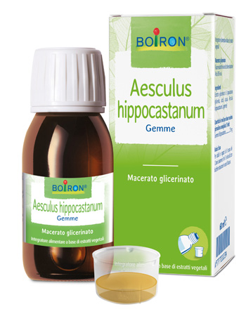 AESCULUS HIPPOCASTANUM MACERATO GLICERICO 60 ML INT - Farmaciapacini.it