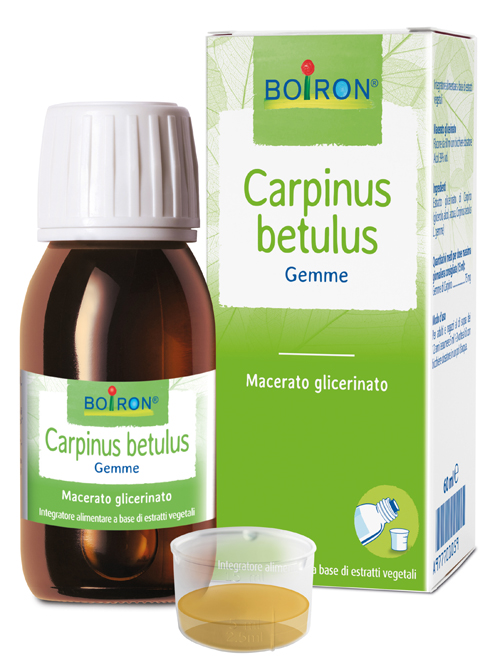 CARPINUS BETULUS MACERATO GLICERICO 60 ML INT - Farmaciapacini.it