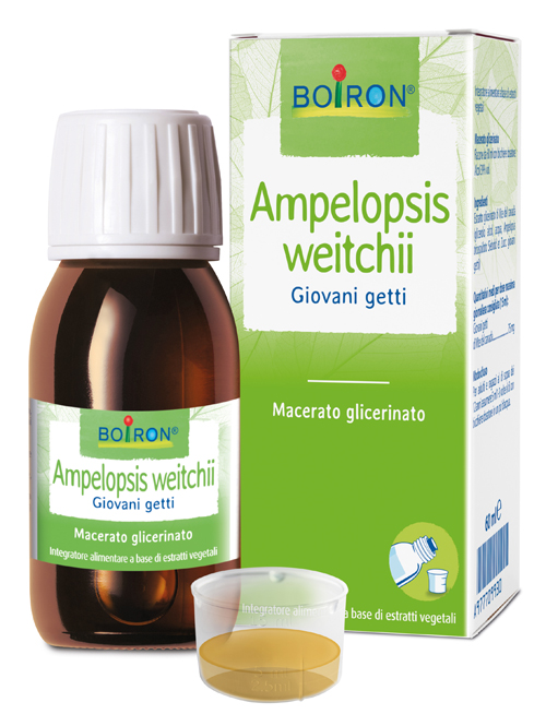 AMPELOPSIS WESTRATTO IDROALCOLICO BOIRON MACERATO GLICERICO 60 ML - Farmaciapacini.it