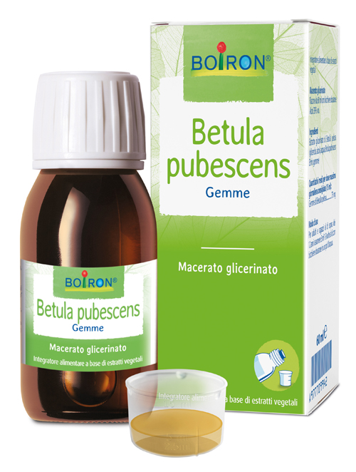 BETULA PUBESCENS MACERATO GLICERICO 60 ML INT - Farmaciapacini.it