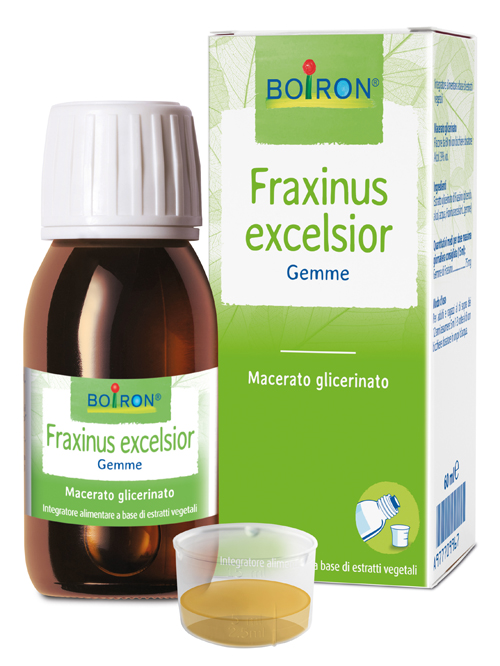 FRAXINUS EXCELSIOR MACERATO GLICERICO 60 ML INT - Farmaciapacini.it