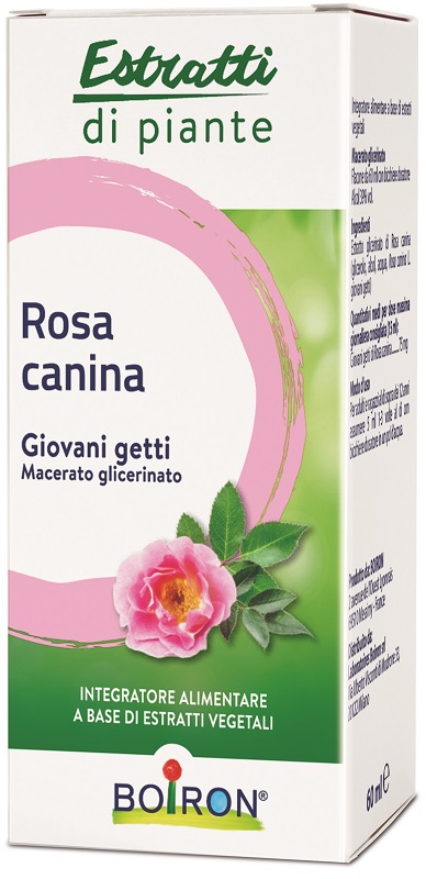 ROSA CANINA MACERATO GLICERICO 60 ML INT - Farmaciapacini.it