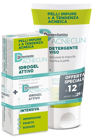 DERMOVITAMINA ACNECLIN IDROGEL ATTIVO AZIONE INTENSIVA 40 ML + DETERGENTE VISO USO QUOTIDIANO 200 ML - Farmaciapacini.it