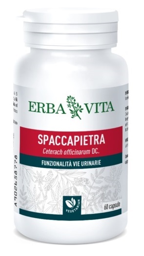 SPACCAPIETRA 60 CAPSULE - Farmaciapacini.it