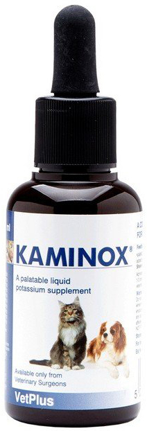 KAMINOX SCIROPPO 60 ML - Farmaciapacini.it