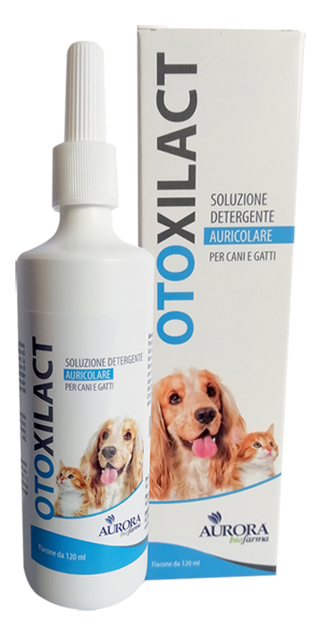 OTOXILACT DETERGENTE AURICOLARE - Farmaciapacini.it