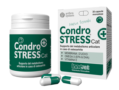 CONDROSTRESS + CAT 30 CAPSULE MONODOSE - Farmaciapacini.it