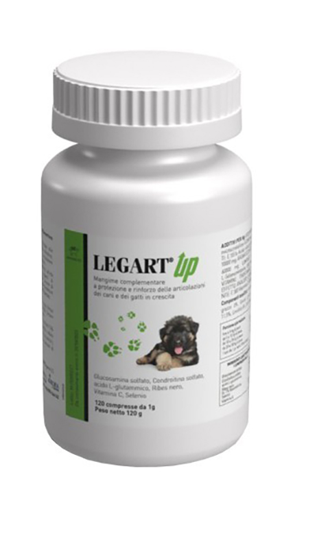 LEGART UP 120 COMPRESSE - Farmaciapacini.it