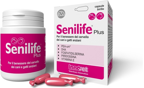 SENILIFE PLUS 30 CAPSULE - Farmaciapacini.it
