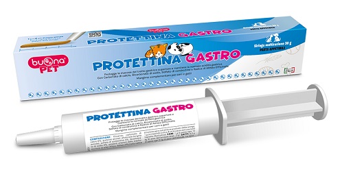 PROTETTINA GASTRO PASTA IN SIRINGA 30 G - Farmaciapacini.it