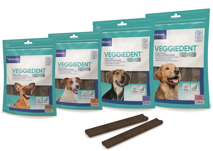 VEGGIEDENT FR3SH L 15 STICK - Farmaciapacini.it