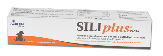 SILIPLUS PASTA 30 G - Farmaciapacini.it