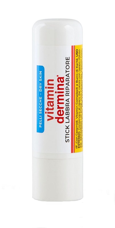 VITAMINDERMINA STICK LABBRA 4,5 ML - Farmaciapacini.it